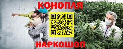 apvp Ирбит
